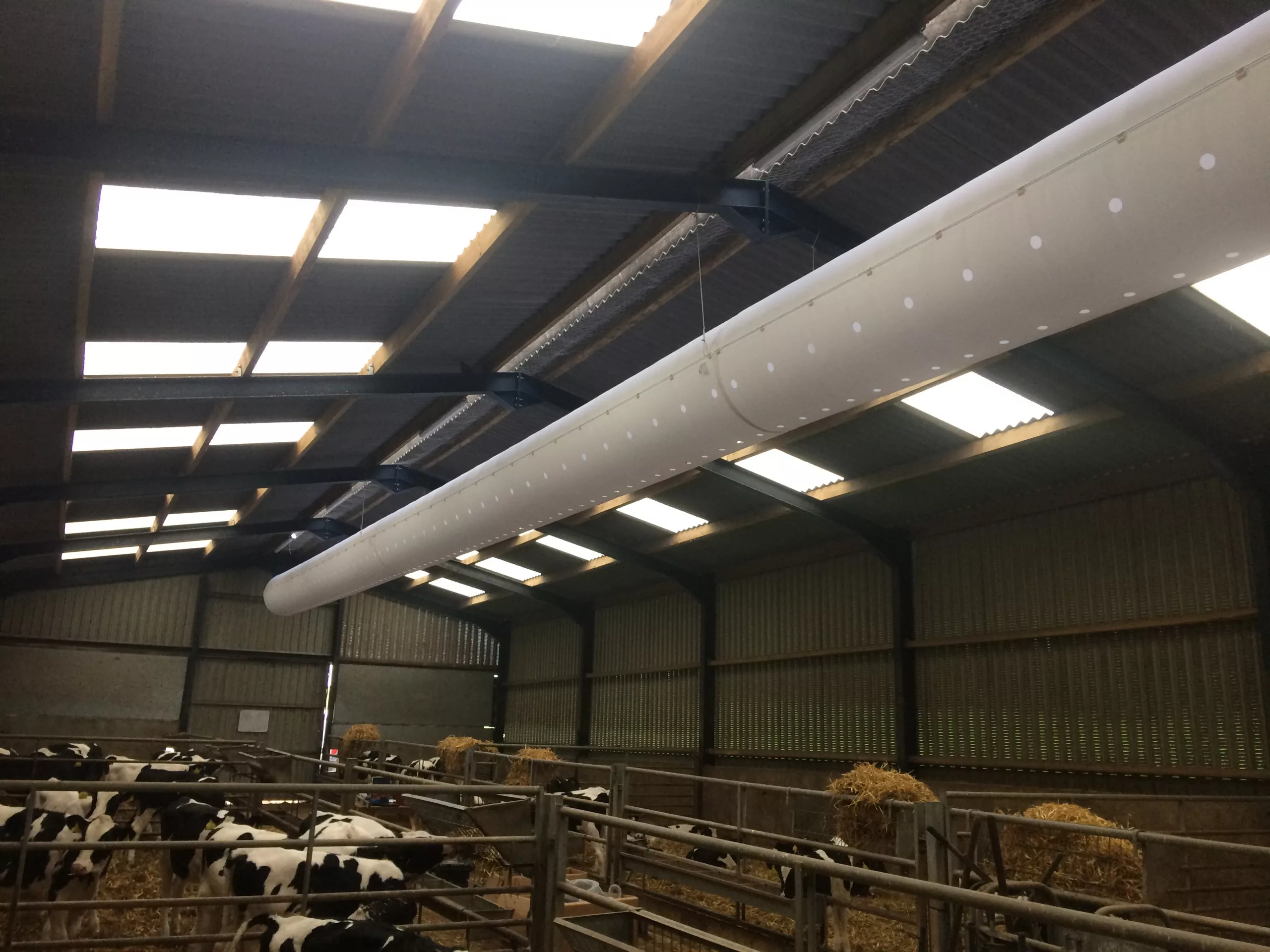 Climabarn white livestock ventilation system in the cow farm