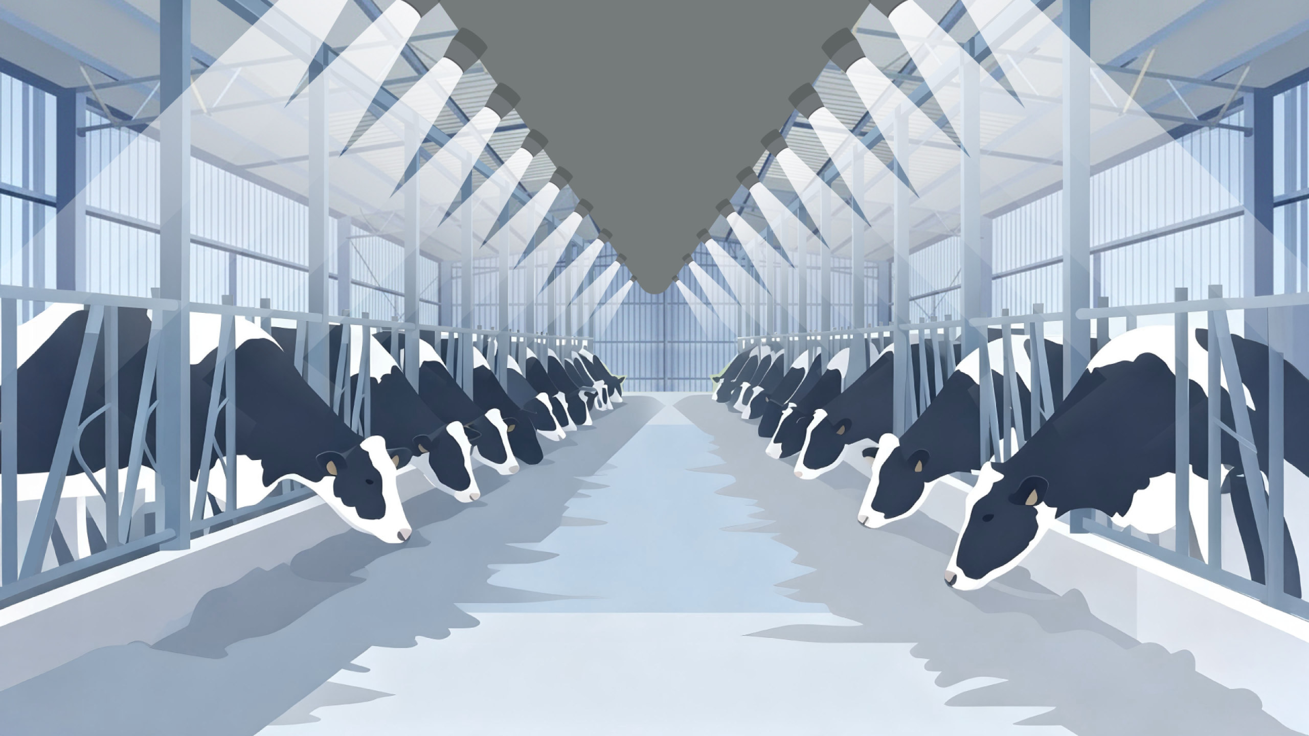 Climababrn calf barn ventilation inside the feeding area