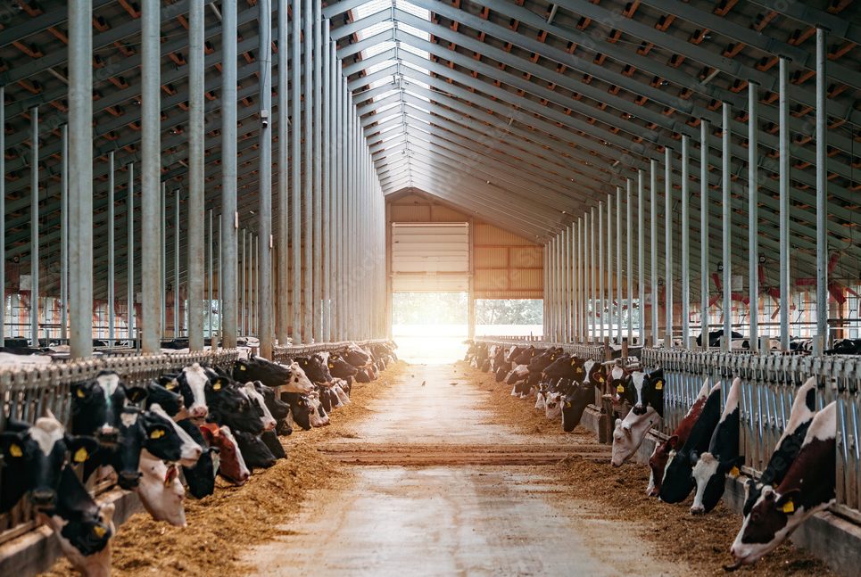 FabricAir has released ClimaBarn, an energy efficient barn ventilation solution that helps keep the electricity bill under control